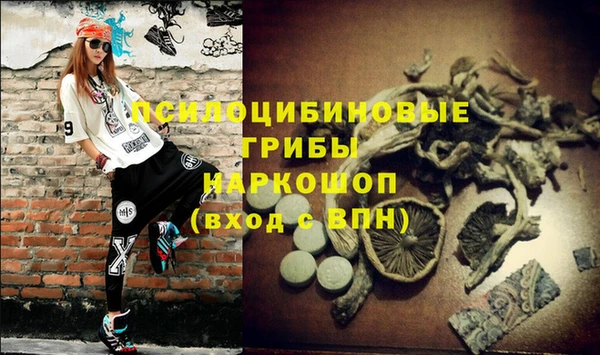 ПСИЛОЦИБИНОВЫЕ ГРИБЫ Нязепетровск