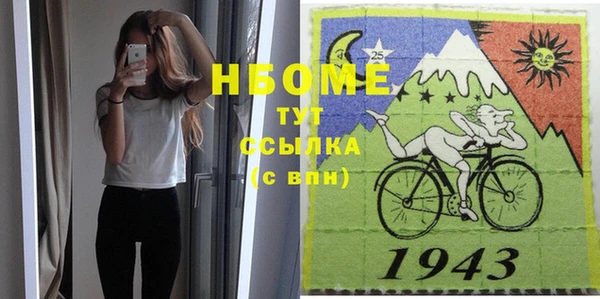крисы Новозыбков