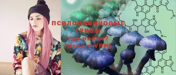 ПСИЛОЦИБИНОВЫЕ ГРИБЫ Нязепетровск