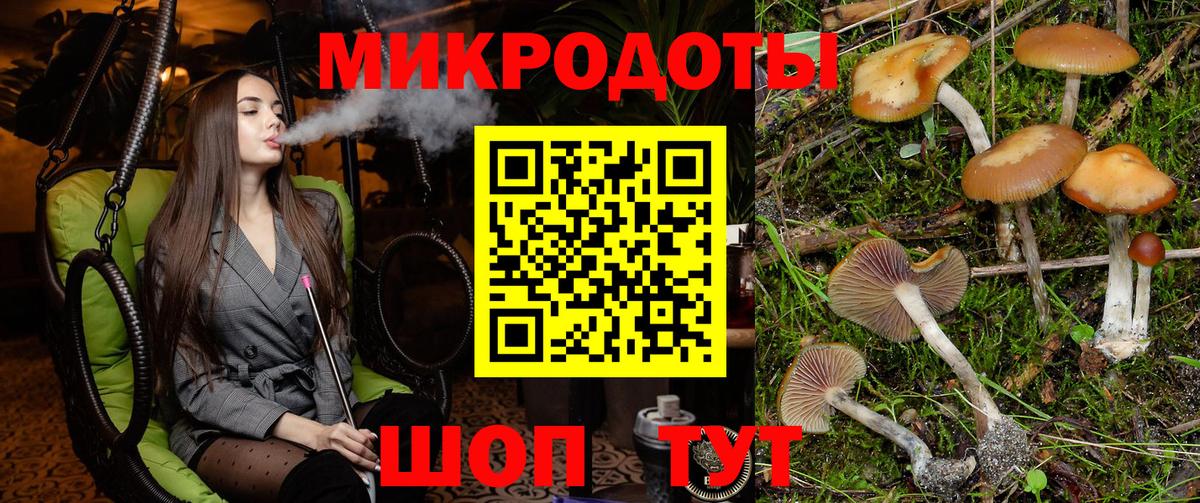 Благовещенск  Галлюциногенные грибы мицелий  Вход с VPN 